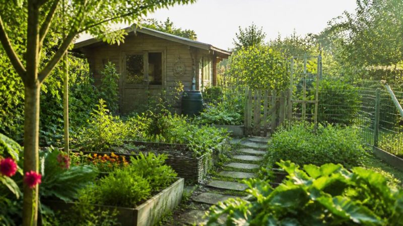 Schrebergärten gestalten: ideen für eine funktionale und naturnahe parzelle