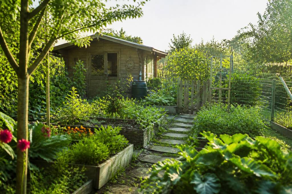 Schrebergärten gestalten: ideen für eine funktionale und naturnahe parzelle