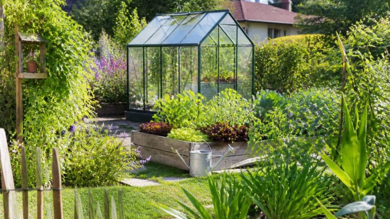 Kleingarten anlegen: praktische tipps für die erfolgreiche gartengestaltung